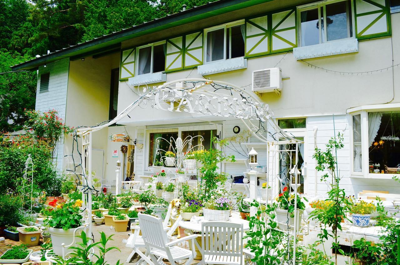 Mt Fuji Cat&Dog&Spa pension Blue Poppy Fujikawaguchiko Eksteriør bilde