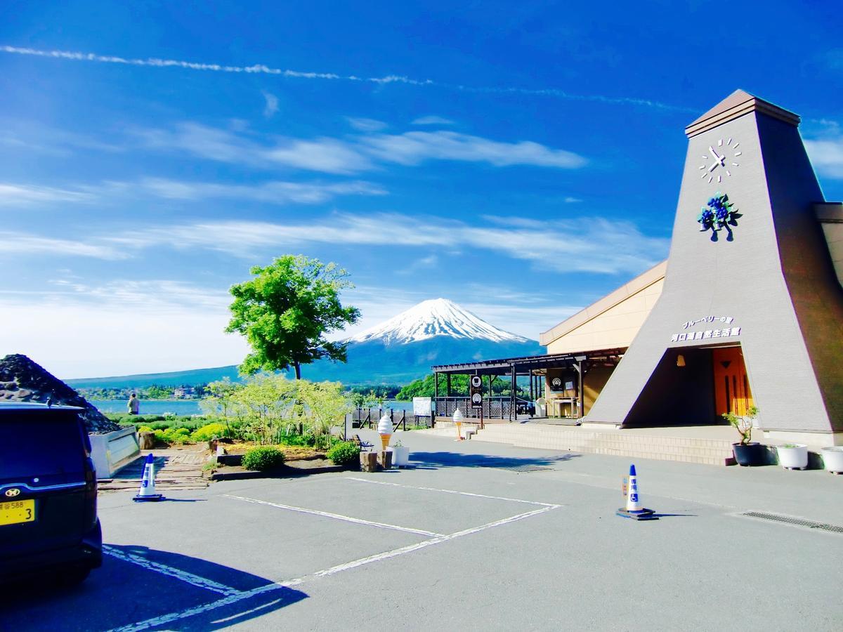 Mt Fuji Cat&Dog&Spa pension Blue Poppy Fujikawaguchiko Eksteriør bilde