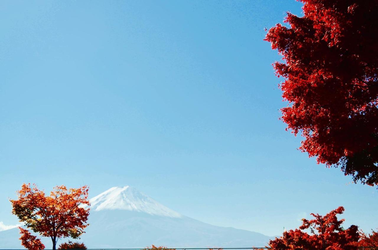 Mt Fuji Cat&Dog&Spa pension Blue Poppy Fujikawaguchiko Eksteriør bilde