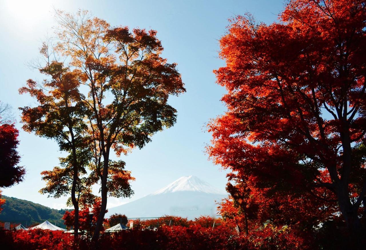 Mt Fuji Cat&Dog&Spa pension Blue Poppy Fujikawaguchiko Eksteriør bilde