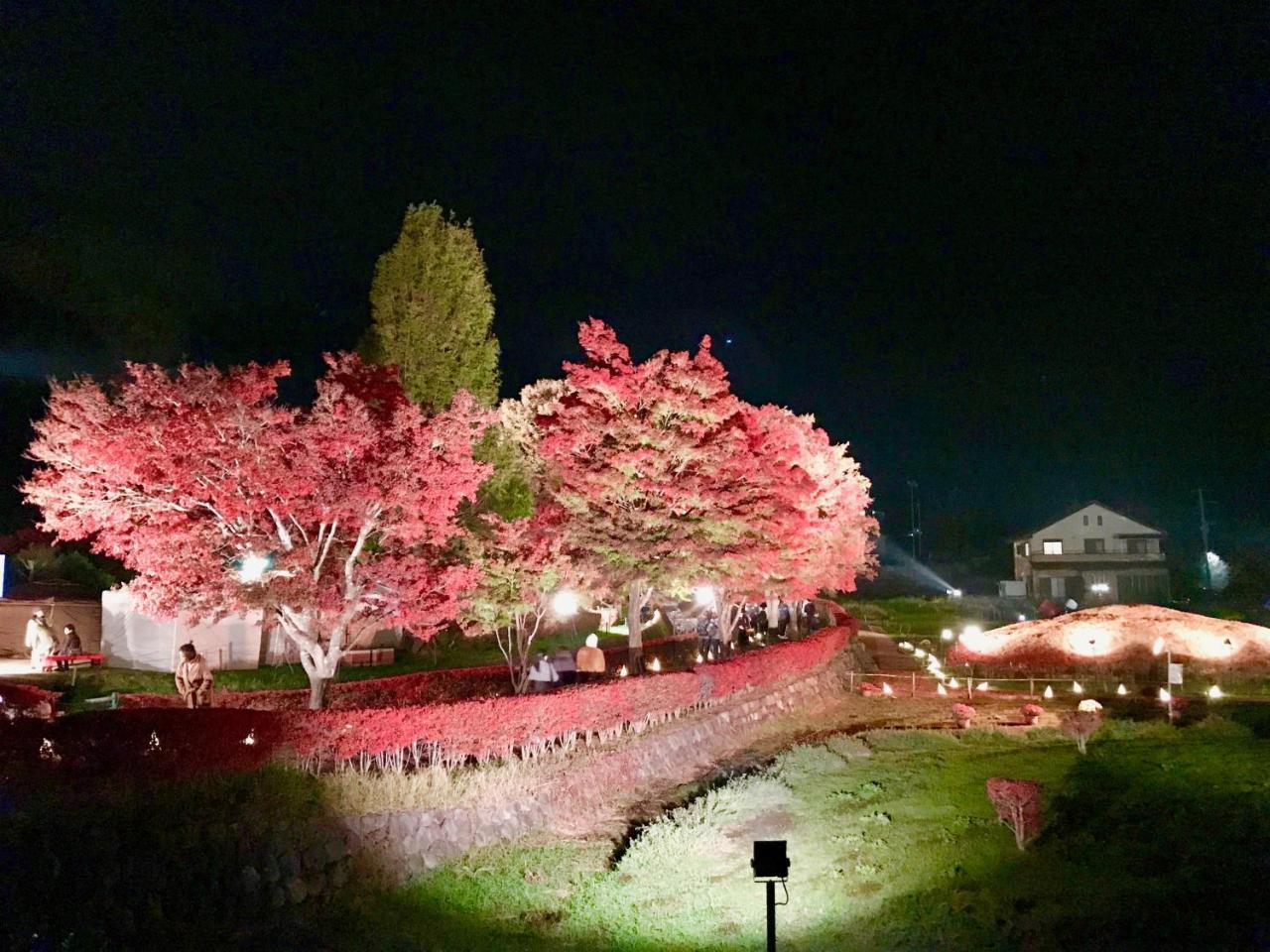 Mt Fuji Cat&Dog&Spa pension Blue Poppy Fujikawaguchiko Eksteriør bilde