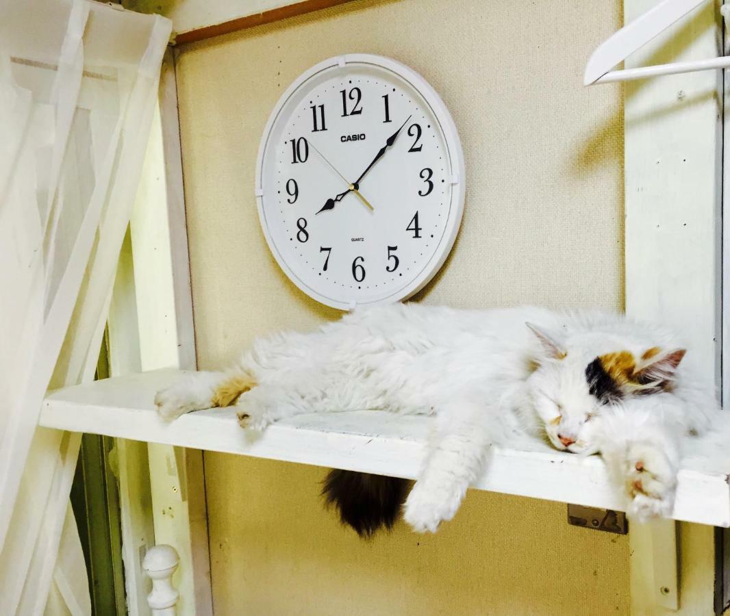 Mt Fuji Cat&Dog&Spa pension Blue Poppy Fujikawaguchiko Eksteriør bilde