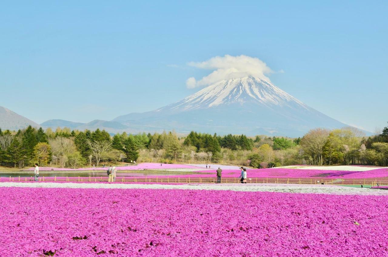 Mt Fuji Cat&Dog&Spa pension Blue Poppy Fujikawaguchiko Eksteriør bilde