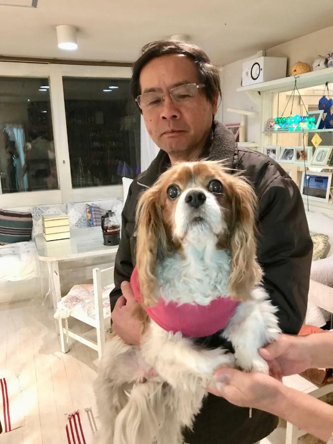 Mt Fuji Cat&Dog&Spa pension Blue Poppy Fujikawaguchiko Eksteriør bilde