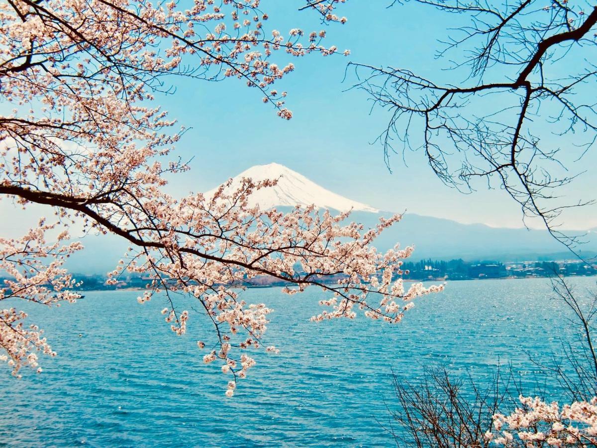 Mt Fuji Cat&Dog&Spa pension Blue Poppy Fujikawaguchiko Eksteriør bilde